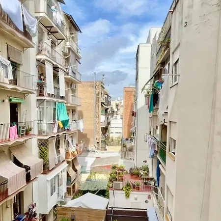 Charming Loft In アパート